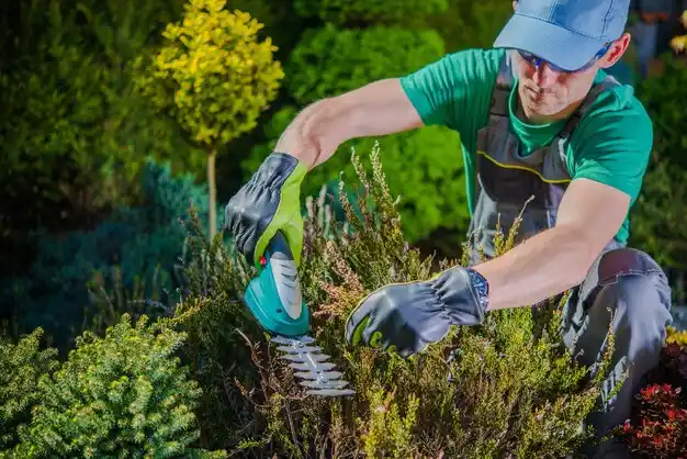 landscaping services North Vacherie